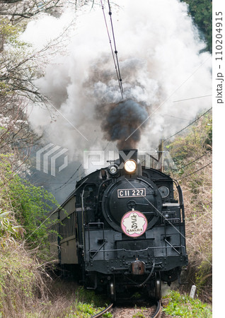 大井川鉄道のSL蒸気機関車 大井川鐵道SL急行かわね路号 110204915