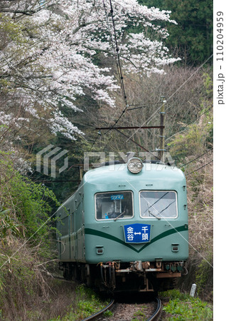 大井川鉄道の普通列車 春の大井川鐵道 大井川鉄道の普通列車 春の大井川鐵道 110204959