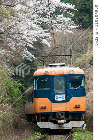 大井川鉄道の普通列車　大井川鐵道 110204960