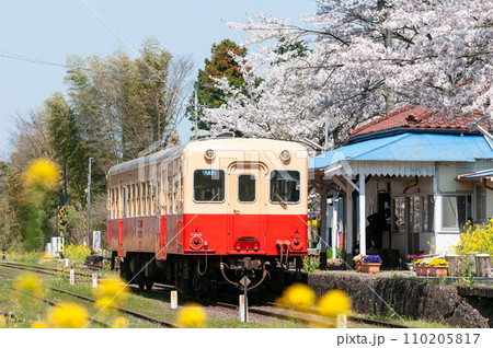 桜満開の小湊鉄道を走るキハ200形 桜満開の小湊鉄道を走るキハ200形 110205817