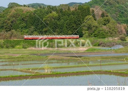 新緑の田園地帯を走る小湊鉄道キハ200形 110205819