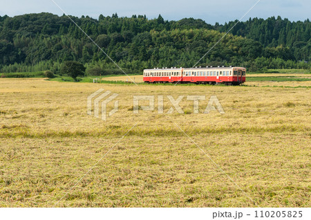 畑の収穫の時期をゆく小湊鉄道キハ200形 110205825