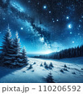 冬夜の星々 - 静寂に包まれた自然の美 110206592