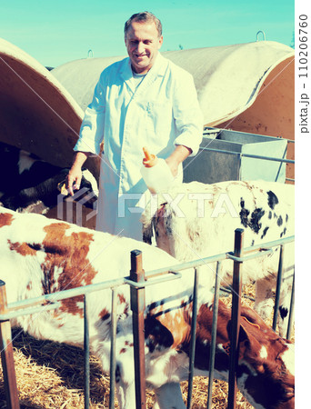 Veterinarian is feeding newborn calf in barn 110206760
