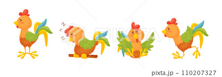 Funny Rooster or Cockerel Character in Different Pose Vector Set 110207327