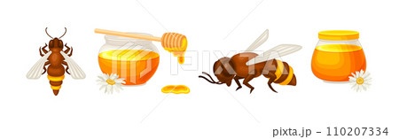 Honey Product with Bee Insect and Glass Jar Vector Set 110207334