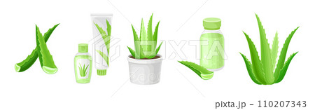 Aloe Vera Green Fleshy Leaf and Cosmetic Product Vector Set Aloe Vera Green Fleshy Leaf and Cosmetic Product Vector Set 110207343