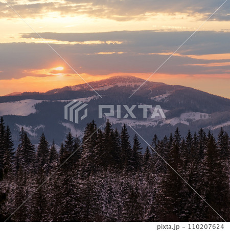 Winter sunset alpine top  view from mountain village and fir forest in front. Picturesque seasonal, nature and countryside beauty concept scene. 110207624