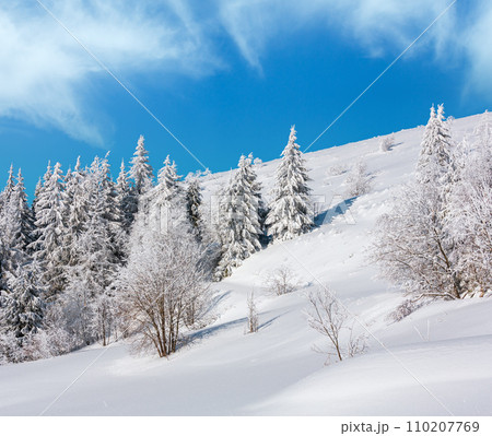 Winter mountain snowy landscape Winter mountain snowy landscape 110207769