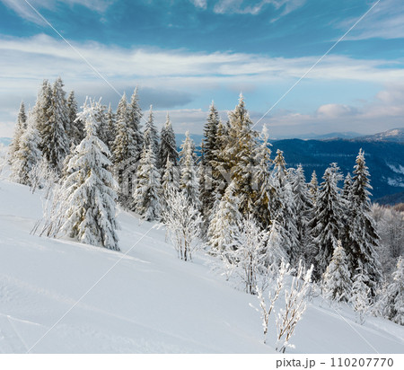 Winter mountain snowy landscape Winter mountain snowy landscape 110207770