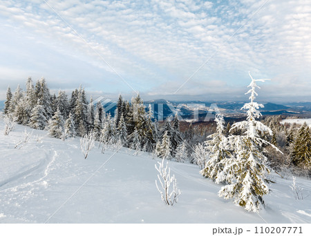 Winter mountain snowy landscape Winter mountain snowy landscape 110207771