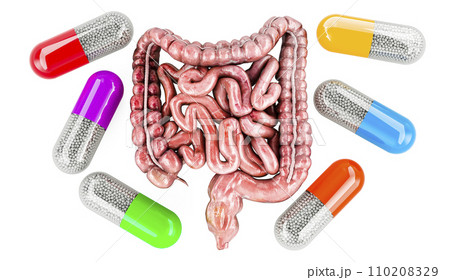 Human intestines with medicine capsules around....のイラスト素材 [110208329 ...