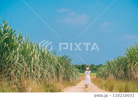 さとうきび畑と麦わら帽子と女性 さとうきび畑と麦わら帽子と女性 110210031