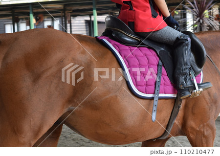 乗馬教習中の子供 乗馬教習中の子供 110210477