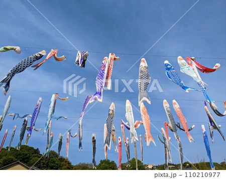 横瀬鯉のぼりまつり 110210977