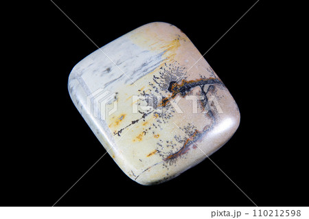 デンドリティック・ジャスパー 風景を宿す石 110212598