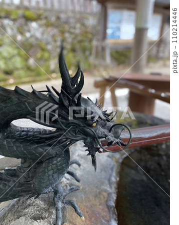 手水舎の龍 手水舎の龍 110214446