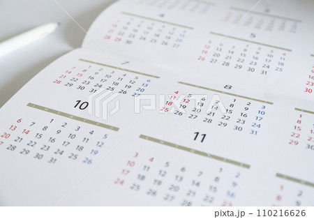 年間カレンダー　スケジュールイメージ 110216626