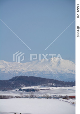 融雪剤が撒かれた雪の畑と山並み　大雪山 110216994