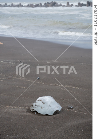 砂浜に残された流氷のかけら 砂浜に残された流氷のかけら 110217004