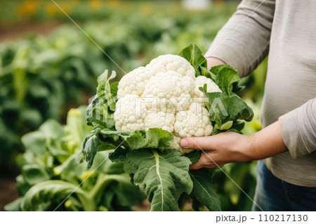 Cauliflower, Generative AI 110217130