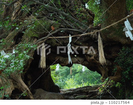 生樹の御門 生樹の御門 110217564