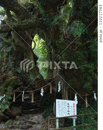 生樹の御門 生樹の御門 110217565