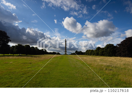 Column of Victory. It was built to commemorate the Duke of Marlborough's military successes 110217618