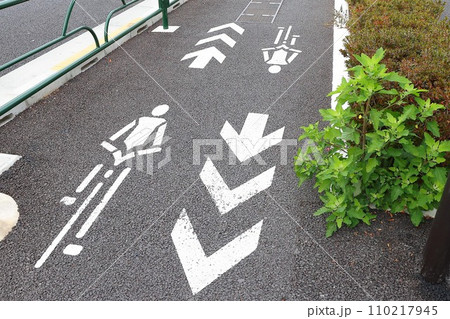 【自転車】専用道路と標識の雑感 110217945