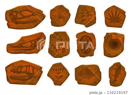 Ancient dinosaur fossil, fish skeleton and plant imprint in stone. Vector archaeological dig set. Dino footprints, sea animals, and mollusk shells in ancient stone pieces, prehistoric evolution items 110219197