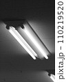 闇の中の蛍光灯 110219520