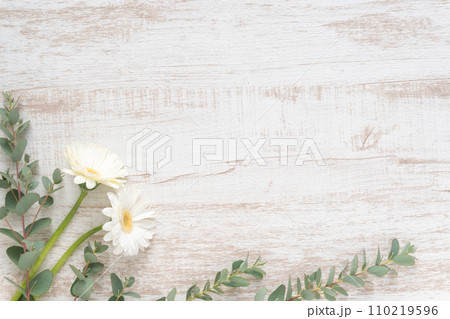 ユーカリとガーベラのボタニカルフレーム 110219596