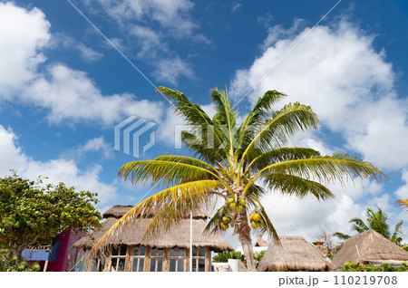 tropical summer vacation. tropical summer vacation in paradise. tropical summer vacation 110219708