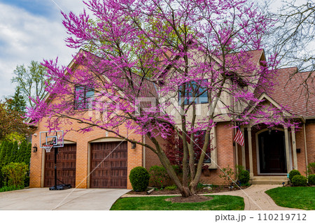 residential house in america neighborhood. Architecture of suburban neighborhood. Comfortable house. cottage house in american neighborhood. suburban house property. property insurance 110219712