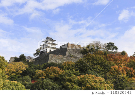 香川・丸亀　丸亀城御殿跡から見る天守・石垣　 110220543