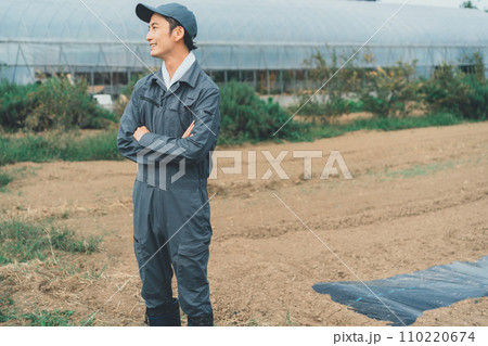 vegetable field vegetable field 110220674