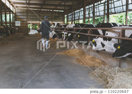 ranch 110220687