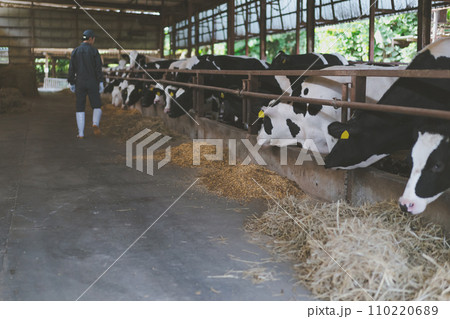 ranch ranch 110220689