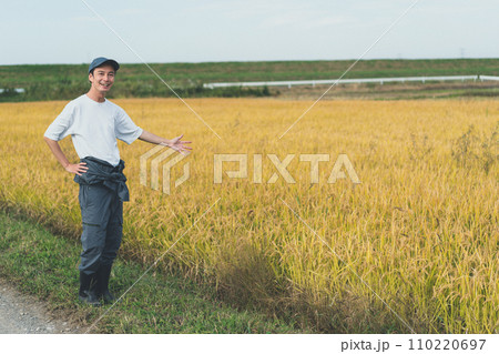 rice farming rice farming 110220697