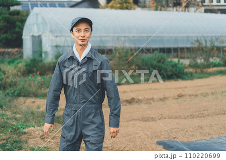 vegetable field vegetable field 110220699