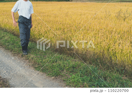 rice farming 110220700