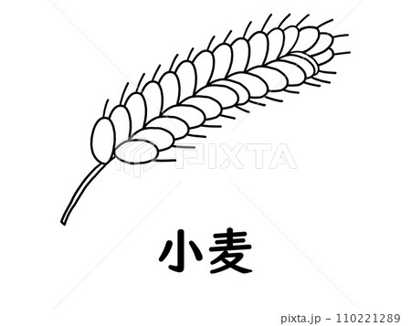 小麦のイラスト（主にアレルギー表示用を意図）（2階調） 110221289
