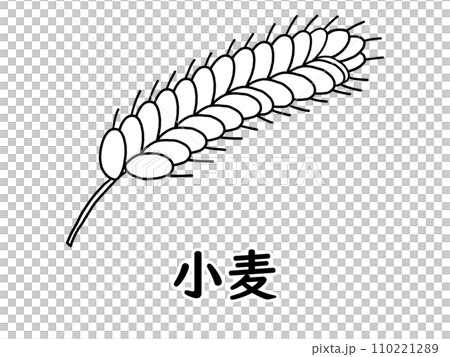 小麦のイラスト（主にアレルギー表示用を意図）（2階調） 110221289