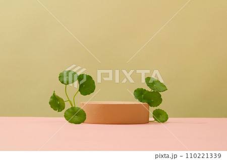 Centella asiatica leaves are decorated around a cylindrical platform on a minimalist background. Empty space for product display. Concept of natural ingredients. 110221339