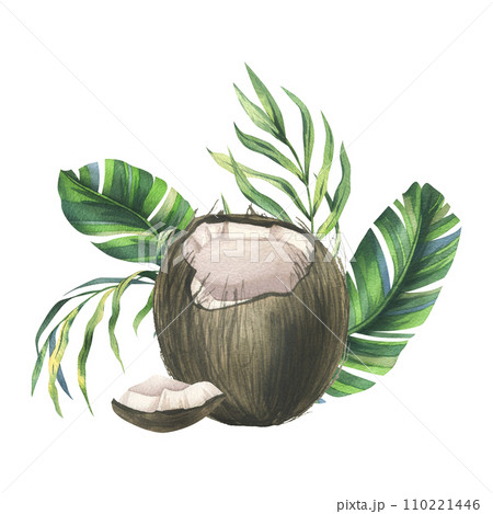 Coconuts whole, halves and pieces with bright, green, tropical palm leaves. Hand drawn watercolor illustration. Pre-made composition isolated from the background. 110221446