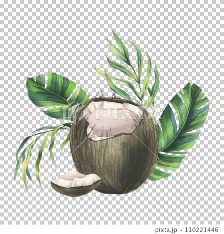 Coconuts whole, halves and pieces with bright, green, tropical palm leaves. Hand drawn watercolor illustration. Pre-made composition isolated from the background. 110221446