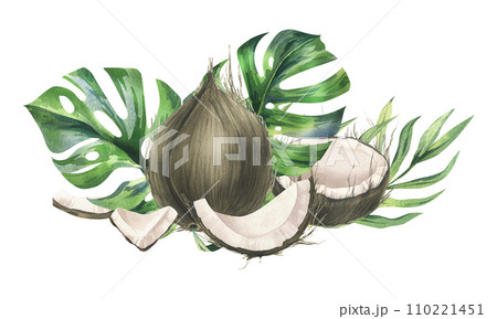 Coconuts whole, halves and pieces with bright, green, tropical palm leaves. Hand drawn watercolor illustration. Pre-made composition isolated from the background. 110221451