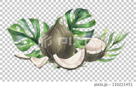 Coconuts whole, halves and pieces with bright, green, tropical palm leaves. Hand drawn watercolor illustration. Pre-made composition isolated from the background. 110221451