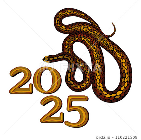 2025. Chinese year of snake. Bright isolated illustration 110221509