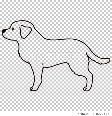 簡單可愛的拉布拉多側身插畫，只有主線是白色的 110222157
